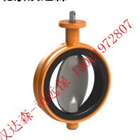 Rubberlined-butterfly-valve-EVS-DN200-197x197